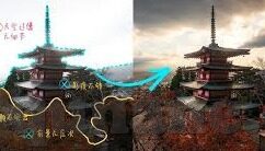 糖心直播app主页-探索糖心直播app主页的多元魅力与实用功能